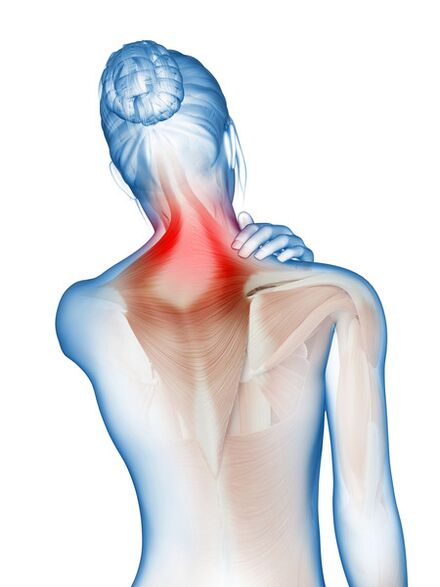 Inflamação e dor nos músculos e articulações - a razão para usar Motion Energy