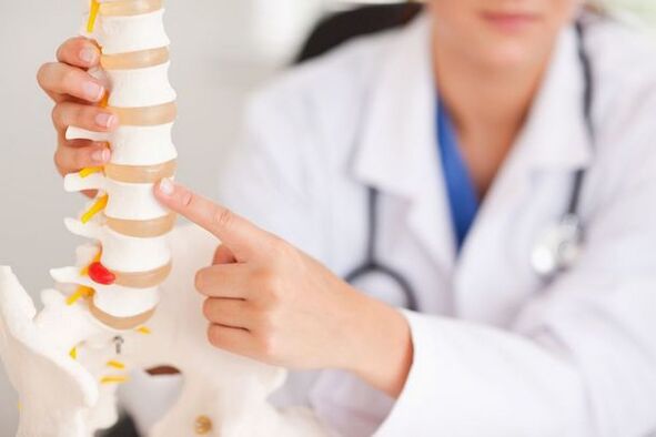 médico demonstra um modelo da coluna vertebral